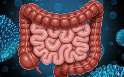 Diarrea & Estreñimiento, causas comunes