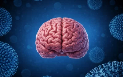 El Cerebro: el filtro de la existencia