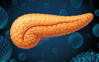 Páncreas: el combustible de la vida y la dulzura interior