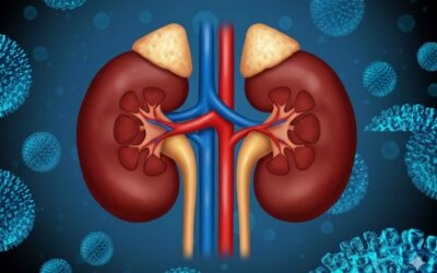 Riñones: el Miedo que Congela la Vida